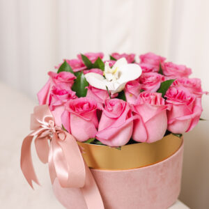 Pink Velvet Floral