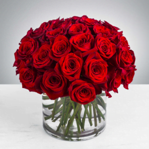 Elegant Red